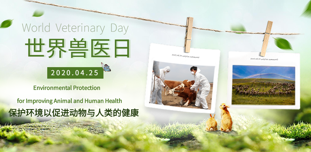 2020年世界兽医日的主题是“保护环境以促进动物与人类的健康”